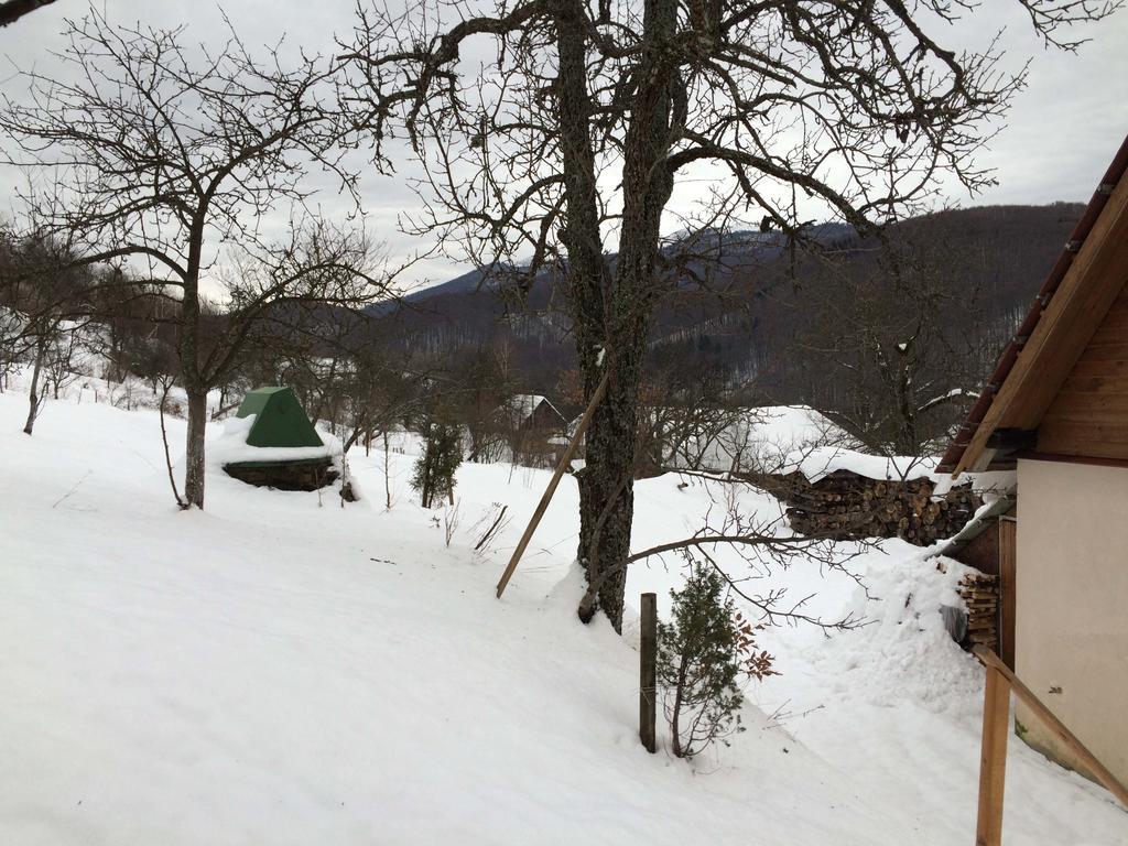 У Сергія Guest House Lumshory Bagian luar foto